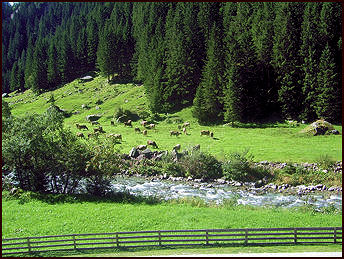 Zollhtte Zillergrund - View from the balcony